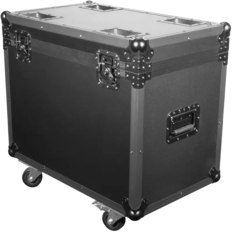 CASE FOR 2x WASH FX 300